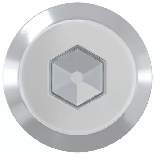  Bútorcsavarok 2 pcs Ezüst M6 x 100 mm Acél