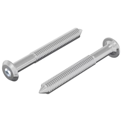  Csavar 2 pcs Ezüst M6 x 50 mm Acél