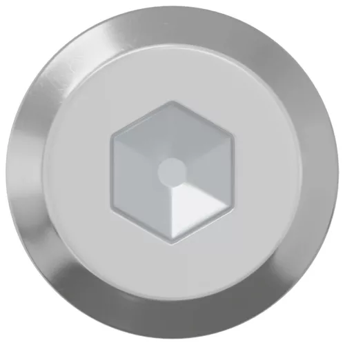  Csavar 2 pcs Ezüst M6 x 50 mm Acél