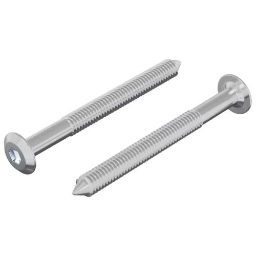  Csavar 2 pcs Ezüst M6 x 60 mm Acél