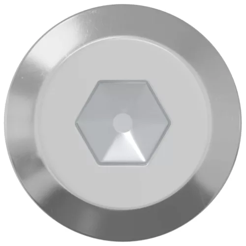  Csavar 2 pcs Ezüst M6 x 100 mm Acél