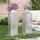  Növényállvány 2 pcs Ezüst 24 x 24 x 75 cm Rozsdamentes acél