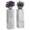  Növényállvány 2 pcs Ezüst 24 x 24 x 75 cm Rozsdamentes acél
