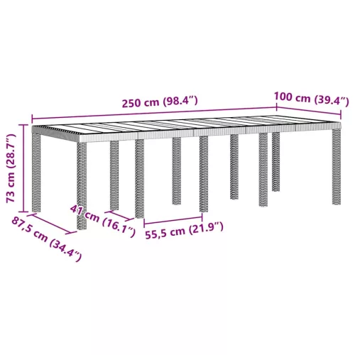  Kerti Asztal Világosszürke 250 x 100 x 73 cm Poly Rattan