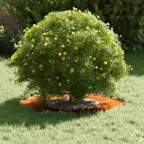  Corten Acél Virágcserép Corten Acél Nagy Dekoratív Betétek