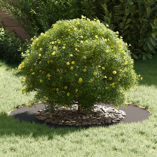  Műanyag virágcserép Fekete Műanyag Nagy Kerek Modern