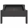  Csirke Etető Tál Fekete 80 x 28 x 13.5 cm