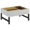  Madár Etető Ezüst 80 x 28 x 13.5 cm Horganyzott acél