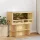  Terrárium Barna 50 x 100 x 50 cm OSB