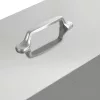  Csirke etető 2 pcs Ezüst 41,5 x 20,5 x 33 cm Horganyzott acél