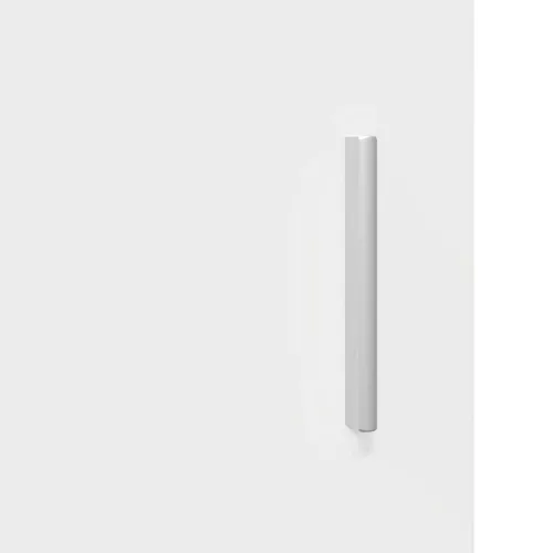  Fali szekrény polcokkal ajtóval Fehér 55 x 29 x 100 cm Faanyag