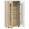  Széf polcokkal ajtóval Sonoma tölgy 55,5 x 29 x 100 cm Faanyag