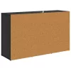  Széf fiókkal Fekete tölgy 100 x 30 x 59,5 cm Faanyag