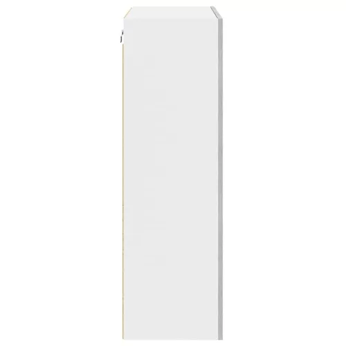  Függő szekrény Riga Szürke Sonoma 60 x 31 x 100 cm Faanyag