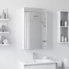  Fürdőszobai tükörszekrény Fehér 30 x 10,5 x 50 cm Faanyag