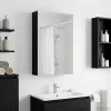  Fürdőszobai tükörszekrény Fekete tölgy 30 x 10,5 x 50 cm