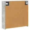  Fürdőszobai tükörszekrény Beton Szürke 63,5 x 16 x 62,5 cm