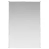  Fürdőszobai tükörszekrény Beton Szürke 43 x 11,5 x 60,5 cm