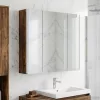  Fürdőszobai tükörszekrény Füstölt tölgy 63,5 x 15,5 x 60,5 cm