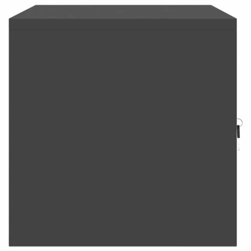  Tárolószekrény Fekete 80 x 40 x 40 cm Hidegen Hengerelt Acél