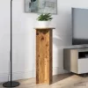  Növényállvány 2 pcs Antik Fa Ø40 x 100 cm Szerelt Fa